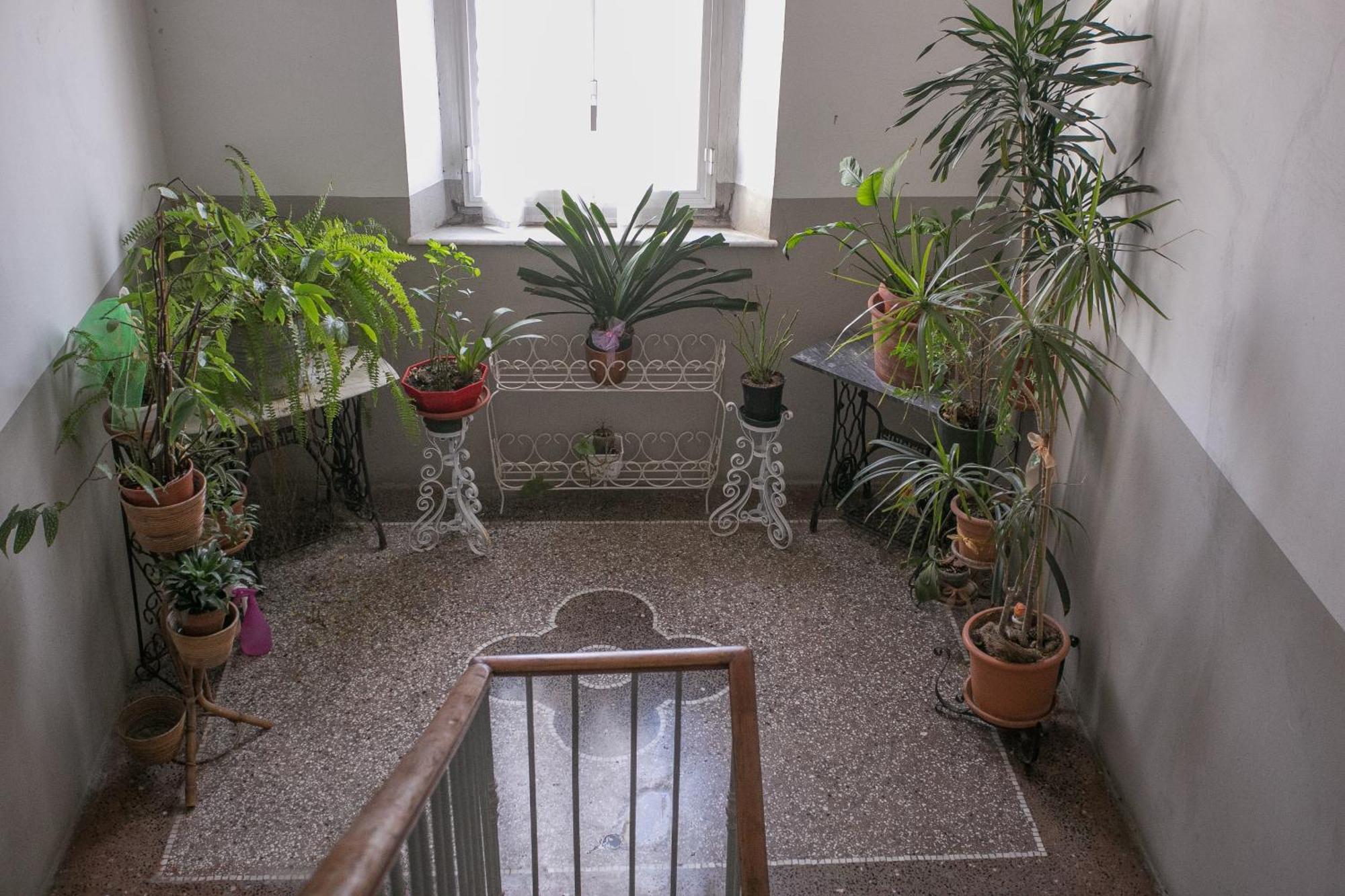 La Finestra Sul Mare B&B Livorno Kültér fotó